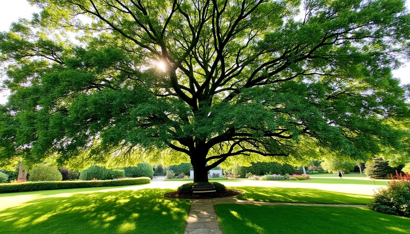 découvrez des conseils pratiques et des techniques efficaces pour surmonter la peur liée à la plantation d'un noyer, souvent perçu comme un symbole de malheur. transformez vos préoccupations en confiance et apprenez à apprécier les bienfaits de cet arbre majestueux.