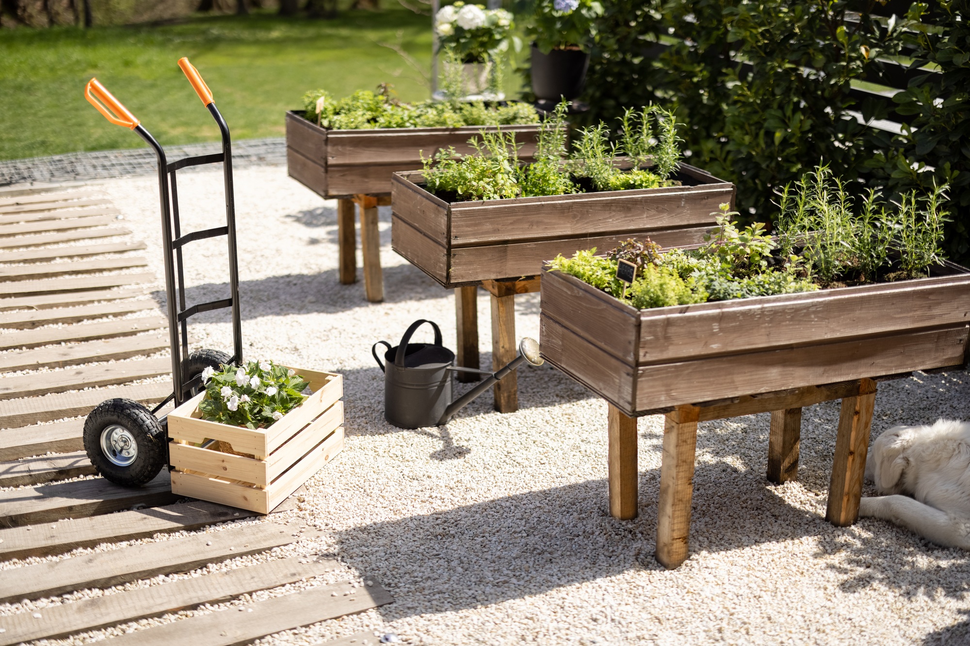 jardinières hautes