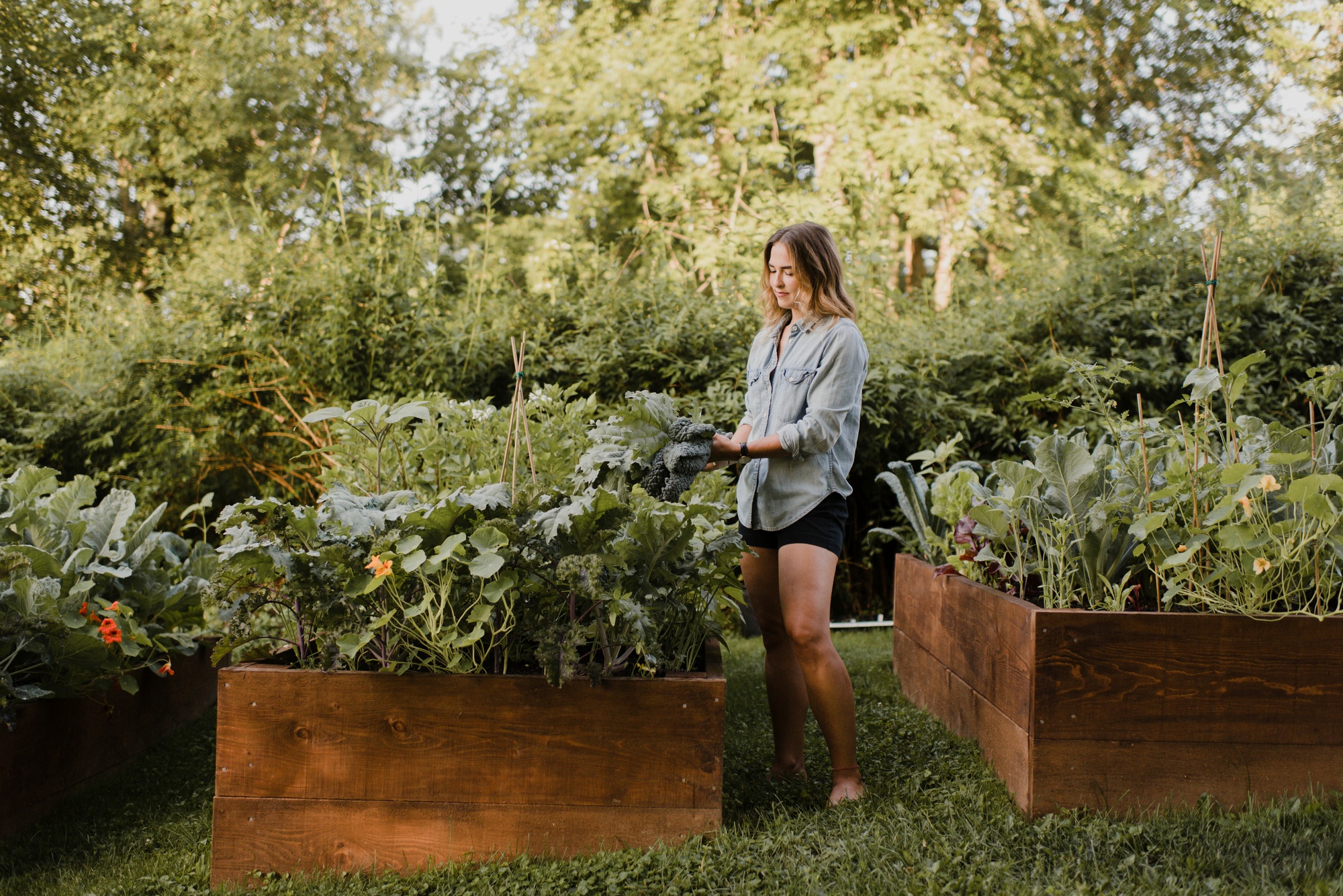 Projet de jardinage