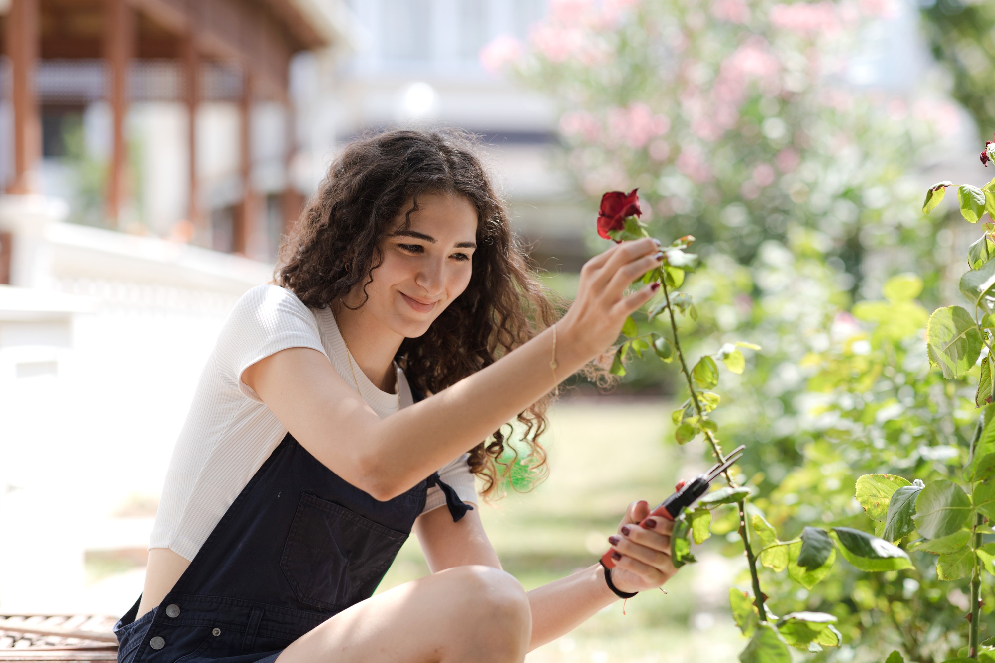 méthode tailler rosiers