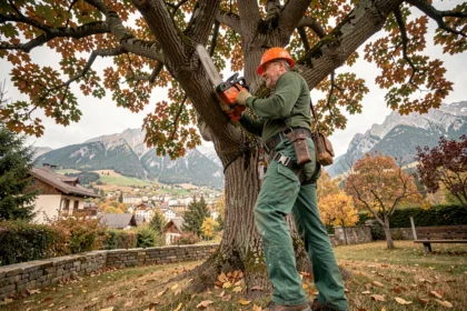 Élagueur professionnel en hauteur dans un chêne avec vue sur Gap en arrière-plan